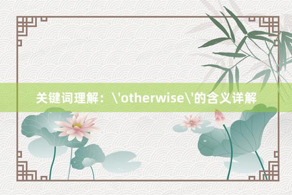 关键词理解：'otherwise'的含义详解